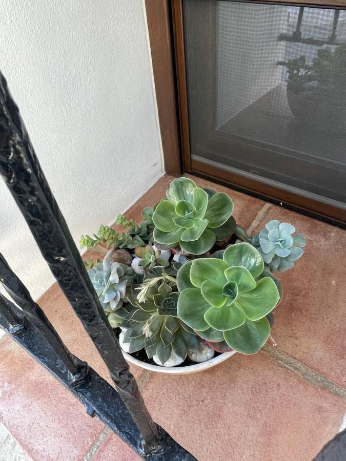 La Casita Del Fresnillo Vila Benalauría Exterior foto